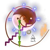 Activation Spiral